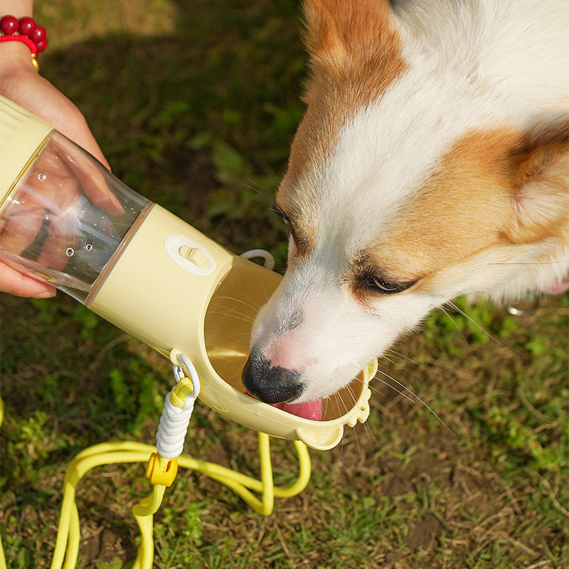 6161c2959e29df81d6150809e9721d52